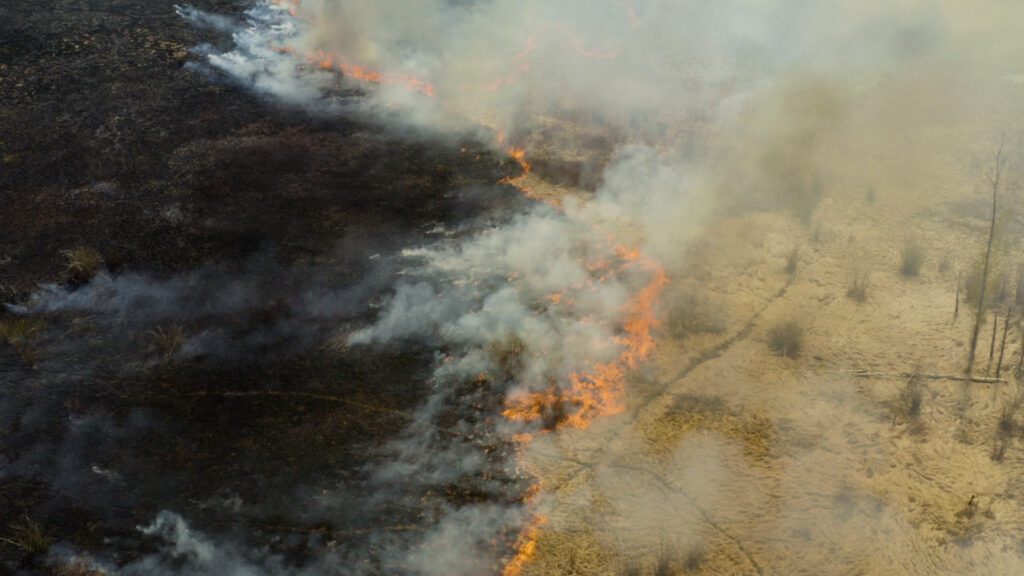Aerial view of a prescribed fire  project 