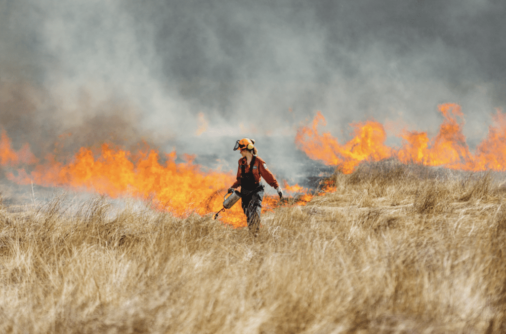 In dry forest of Nlaka’pamux territory, crews oversee ‘long overdue ...